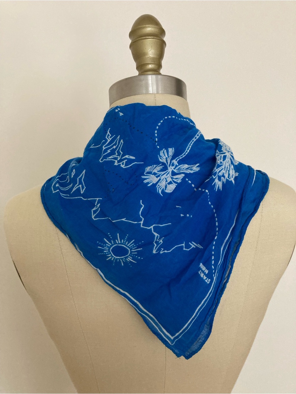 Madewell nautical blue scarf